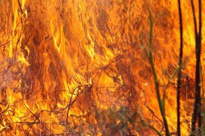 burning-grass-1165823_640