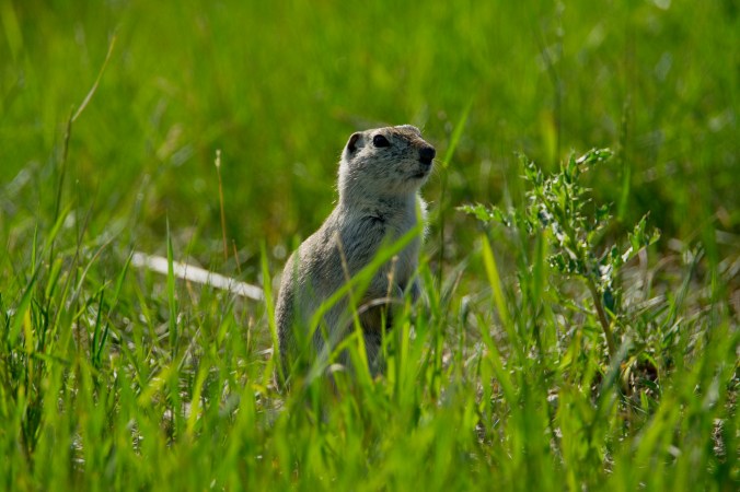 shutterstock_1629117721